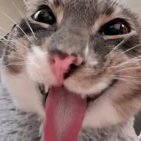 Cash Blep