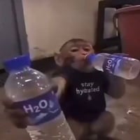 apewifH₂O