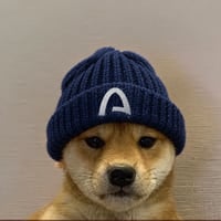 §{project.tokenName} project token, view analysis on Boostexplorer