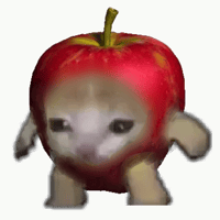 Apple Cat