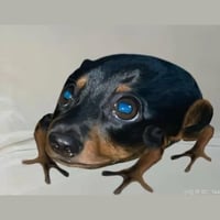 Dog Toad