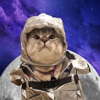 Moon Cat token icon