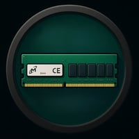 DDR VI