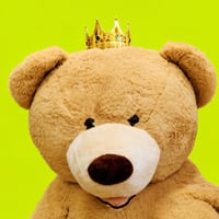 DATABEAR