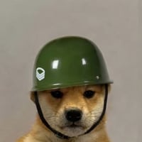 Dog in helmet logo