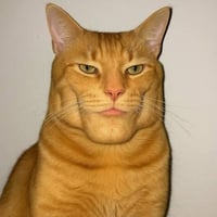 GIGA CAT