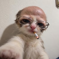 Unccat