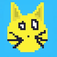 Solana Cat