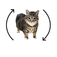 Ethel logo