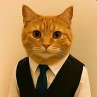 cat in vest