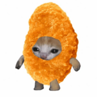 Chicken Nugget