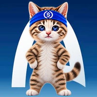 Arc House Cat