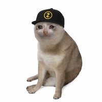 Zcash Cat