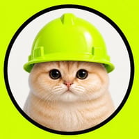 RobinhoodCat