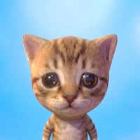 bro cat