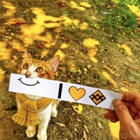 BscCat