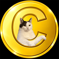 Dancing Cate