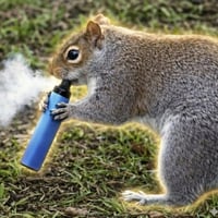 The Vaping Squirrel