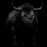 The Retard Bull