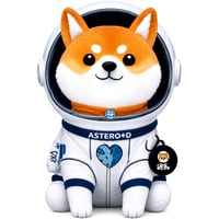 Asteroid Shiba