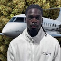The Narcojet logo