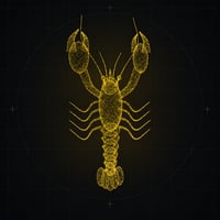 Lobster Network