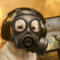 dogwifgasmask