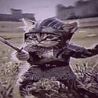 trench cats