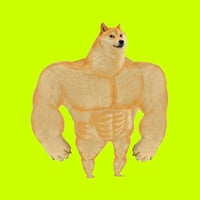 SWOGE