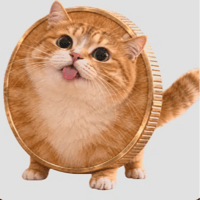 A Catcoin