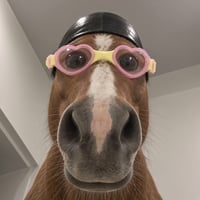 HORSEVIBE logo