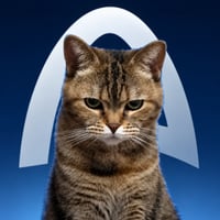 §{project.tokenName} project token, view analysis on Boostexplorer