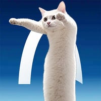 LONGCAT