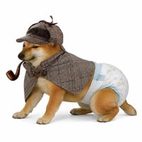 Baby pipedog 