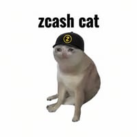Zcash Cat