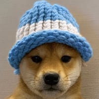 dogwifargentina