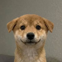 Pumpfun Puppy logo