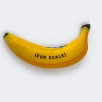 Banana For Scale