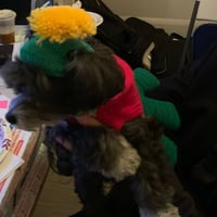 Mars Dog