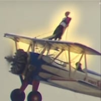 The Wing Walker