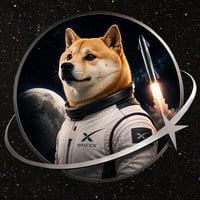 SpaceXDoge