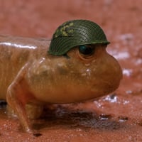 Trenchfoot logo