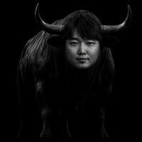 The IQ Bull