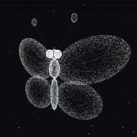 The Butterfly Brain