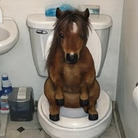 poop horsi