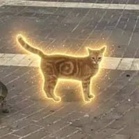 S◎L Cat