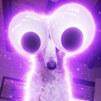 fomodog