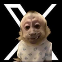 𝕏 Monkey