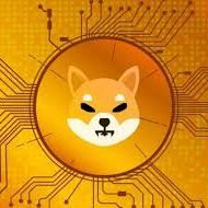 Shiba Inu