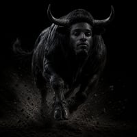 Bullrun logo